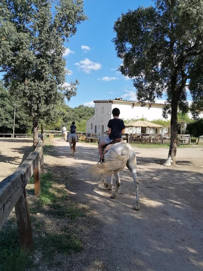 Casa Rural, Cirera Vakantiehuis Seriñá